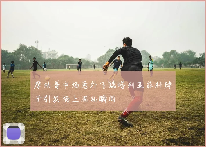 摩纳哥中场意外飞踹塔利亚菲科脖子引发场上混乱瞬间
